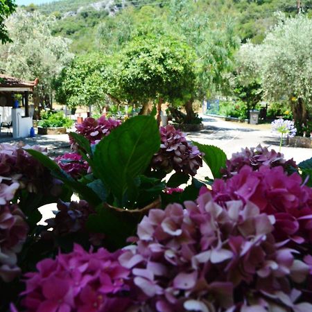 Spiros Rooms Panormos  Esterno foto